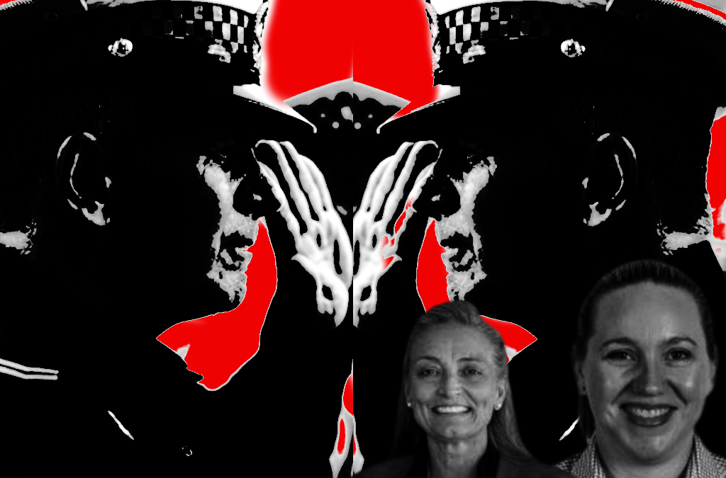 Police Minister ‘disingenuous’ with extra police officer figure: NTPA