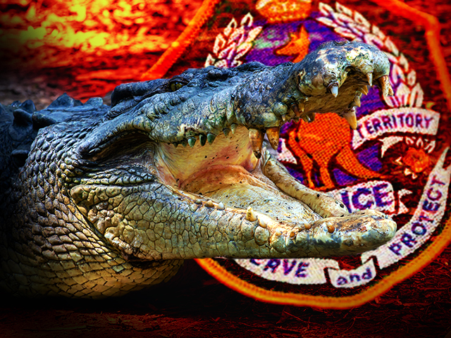 Man who allegedly assaulted homeless people found with live crocodile at residence