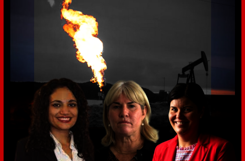 New analysis shows Middle Arm plan flawed, Beetaloo and Barossa gas business cases not viable