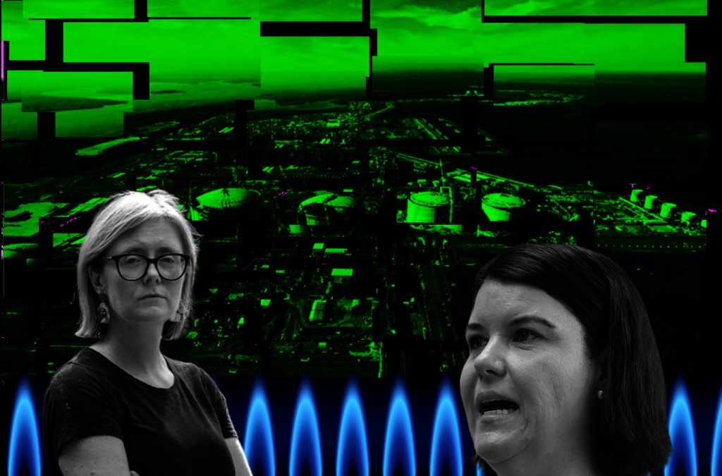 Senate to investigate intended uses of Darwin’s proposed Middle Arm industrial precinct