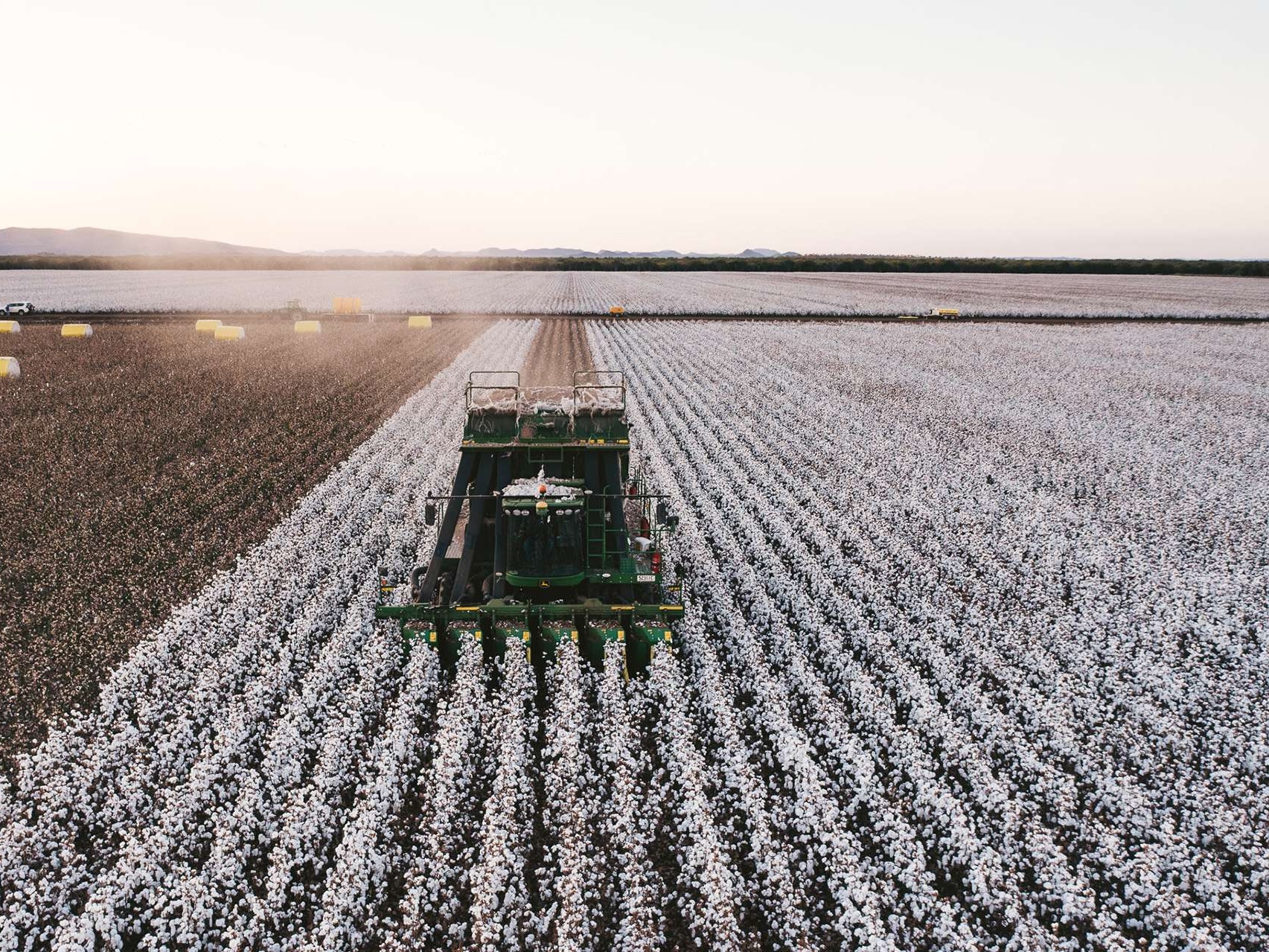 agriculture strategy pic Cropped