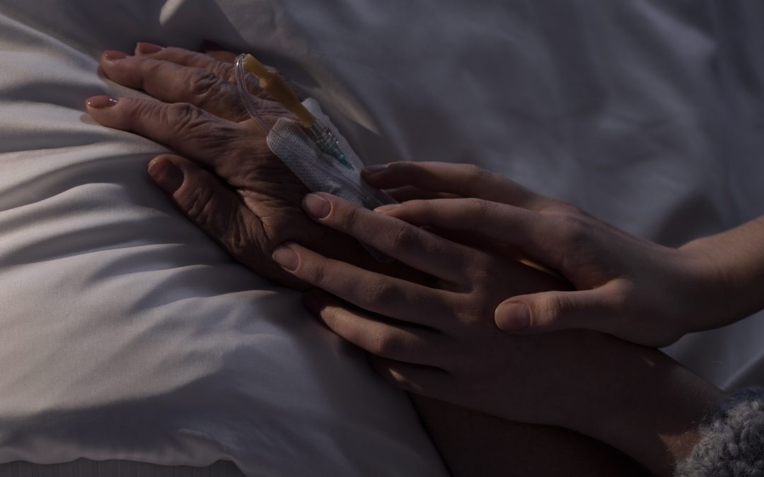 Euthanasia recommended for the Northern Territory: Report