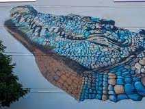 Darwin Street Art Festival to feature Irish muralist Aches