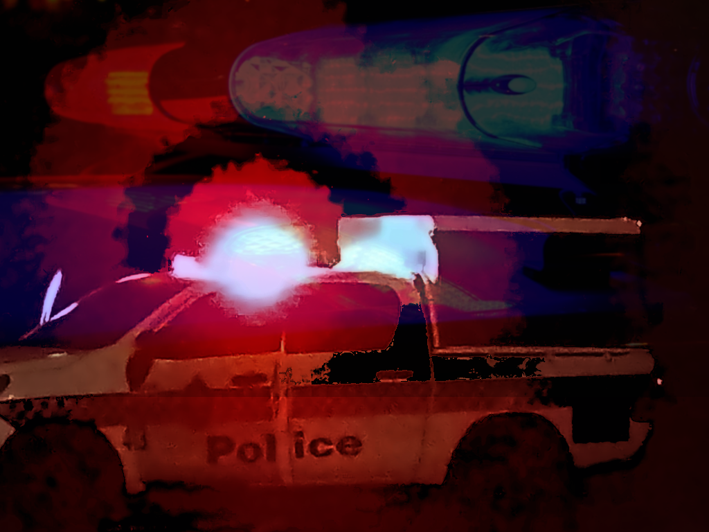 Police Gardenia St graphic