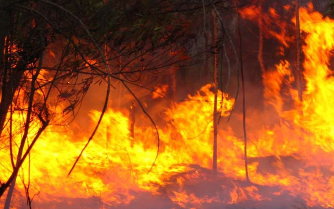 Kids with fuel in Tennant Creek add to busy Sunday for fire crews in extreme conditions