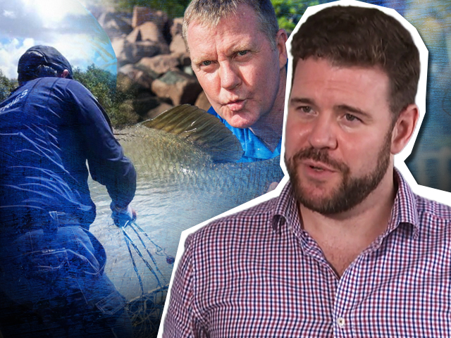 Recreational fishing groups call for commercial barramundi quotas, licence buybacks