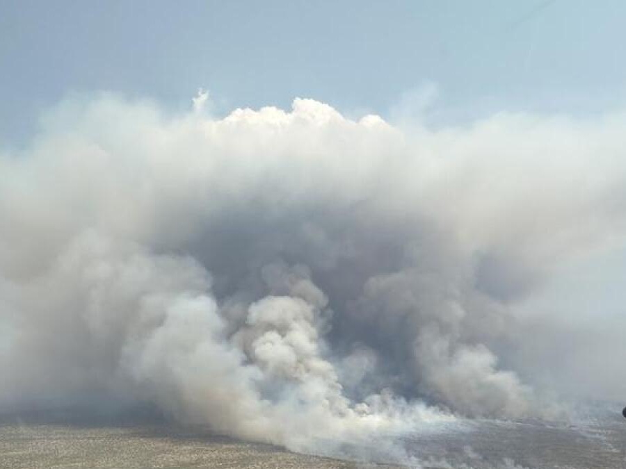 bushfire final Cropped
