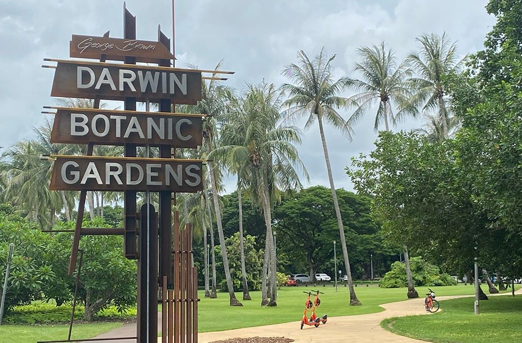 Woman killed by falling tree branch in Darwin botanic gardens