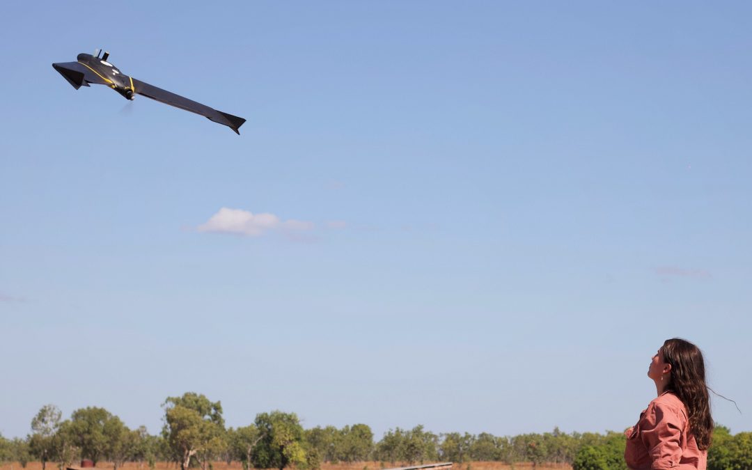 The prime time for using drones to count feral pigs