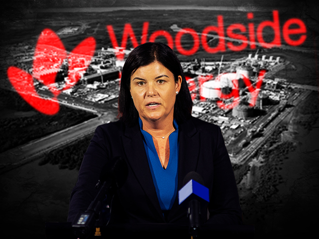 Fyles’ private shares in gas company to be probed at Senate inquiry into Middle Arm: Pocock