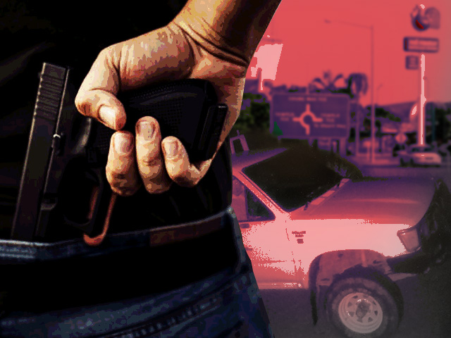Passenger in ute hit with bullet from side of the road in Palmerston