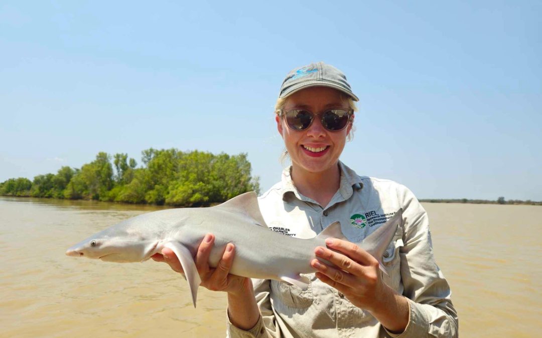 Govt’s water allocation plan could threaten rare shark’s habitat: CDU