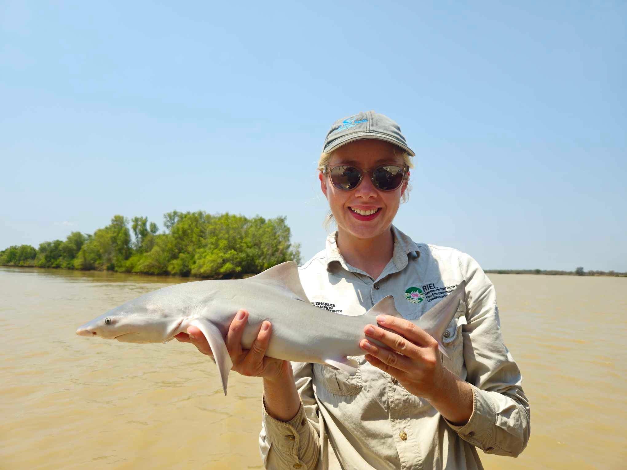 CDU baby shark pic Cropped