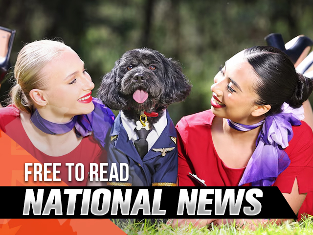 Trip around the Nation: Free to Read National News for March 8