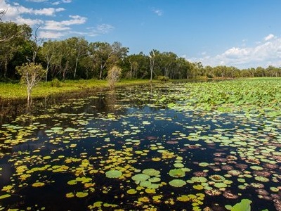 ‘Tragic outcome’: Missing man’s body found in South Alligator River