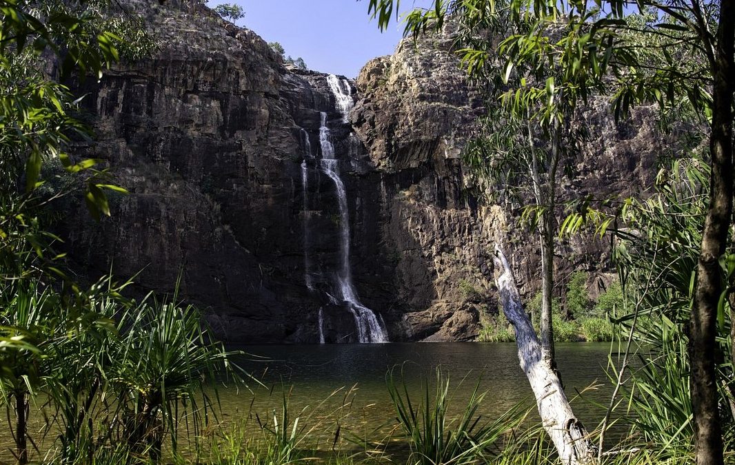 Parks Australia to plead guilty for damaging sacred site