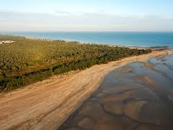 coastal reserve pic Cropped