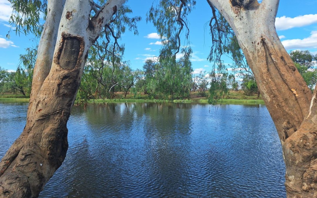 NT government urged to re-write draft Mataranka water allocation plan