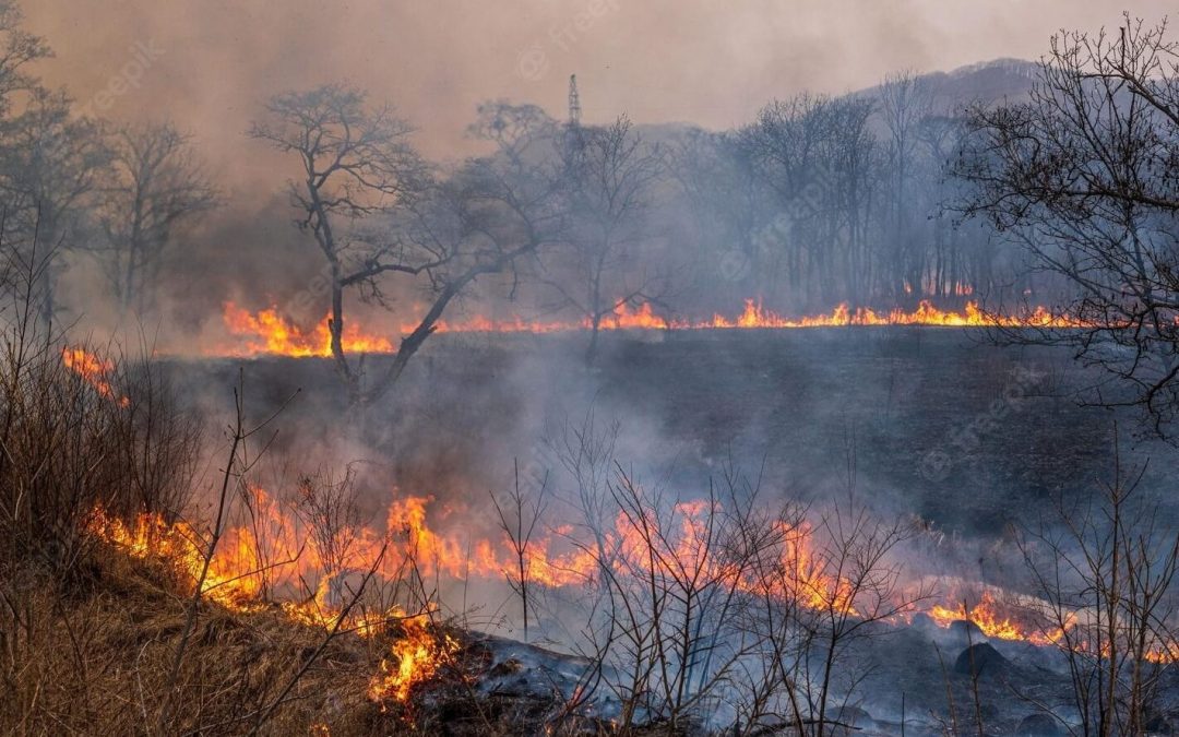 Fires south of Darwin lead to hazardous air quality in Top End
