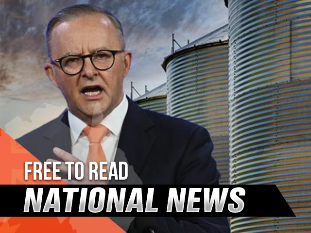 Trip around the Nation: Free to Read National News for July 8