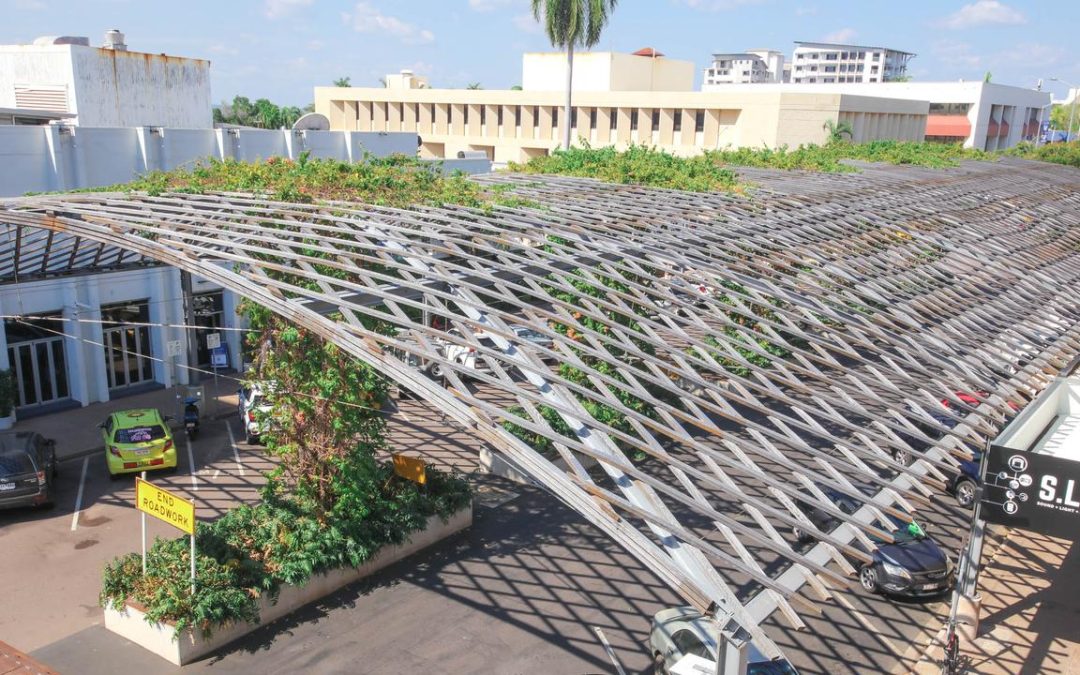 CLP to tear out Cavenagh Street shade structure vines, will not replace them