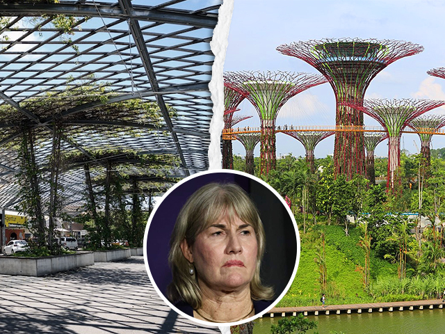 Eva lawler-Cavenagh St. Shade Structure