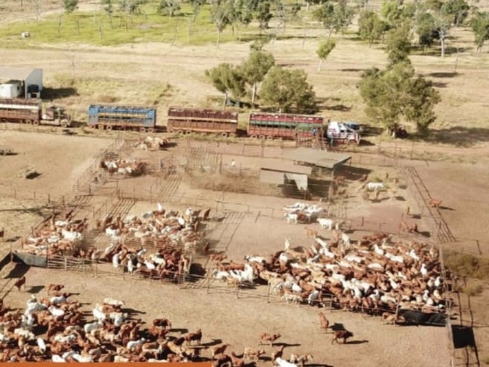 Vermelha Station owner agrees to $200k safety improvement after serious crush injury to farm hand