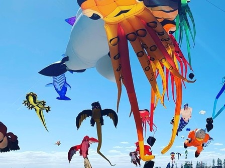 kite festival pic Cropped