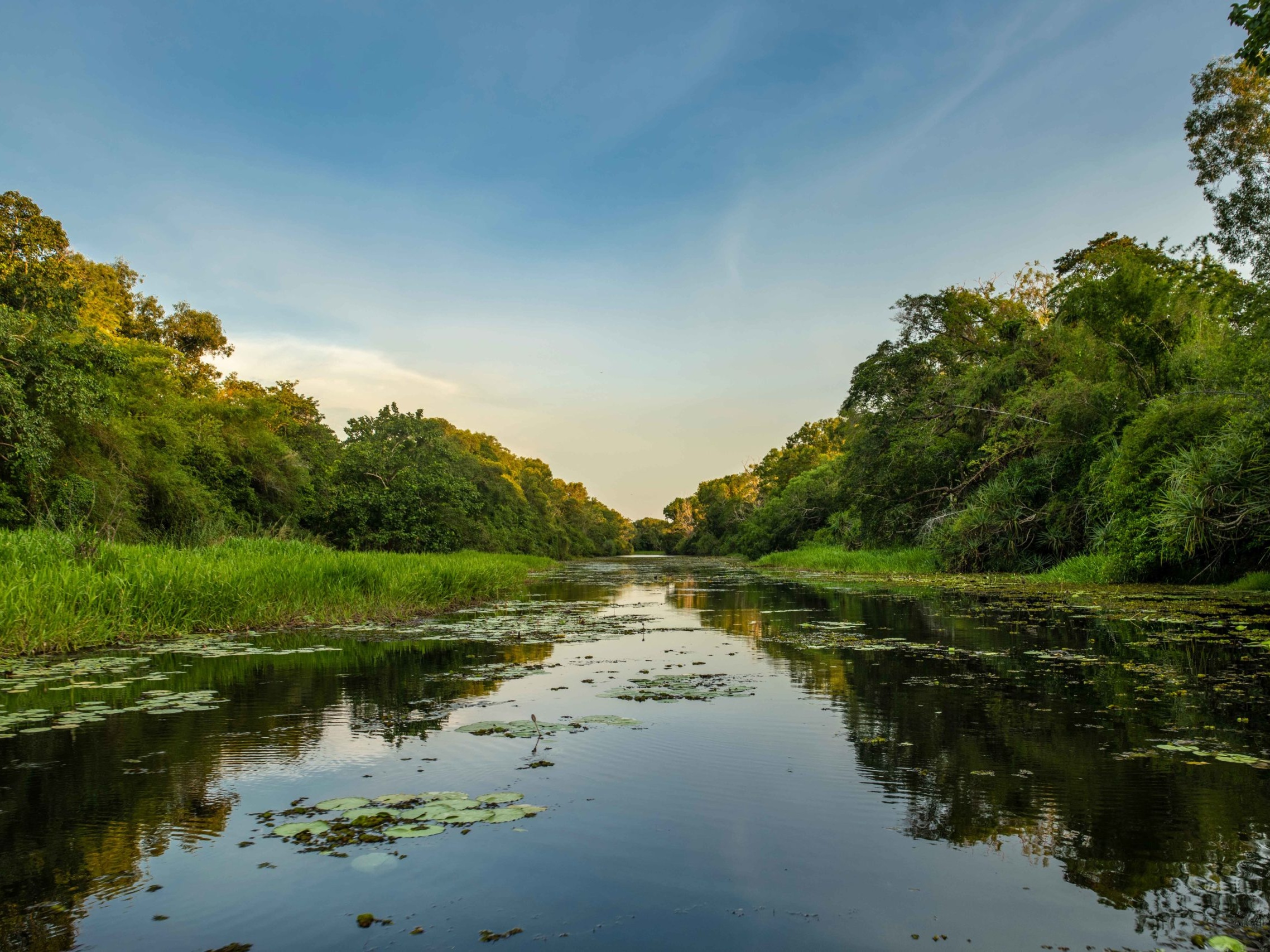 Finniss-River-floodplain-lush-waterways-sca Cropped
