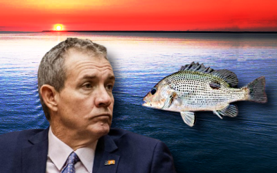 Golden snapper recovery should target spawning, tighten vessel limits: AFANT