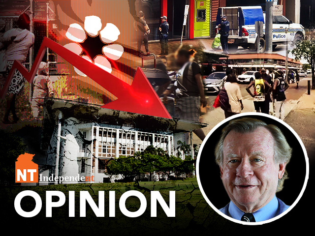 Opinion-2024-Failures of the NT-Don Fuller