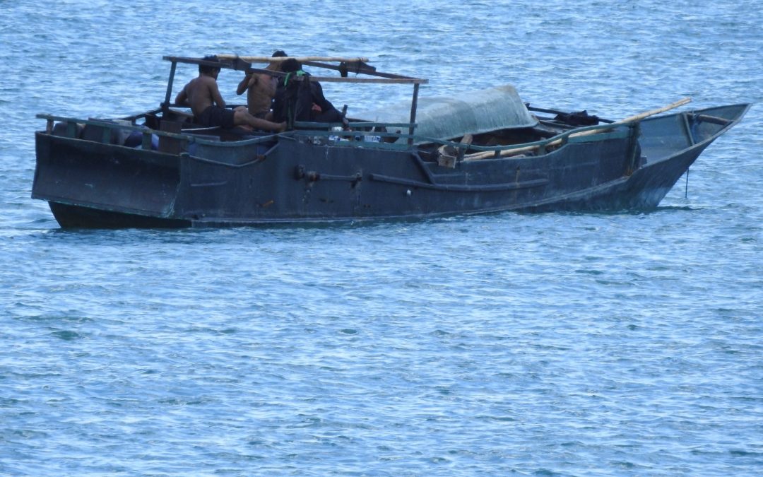 Multi-agency federal operation to curb illegal foreign fishing in the NT