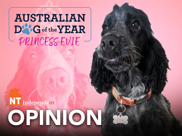 Opinion-2025-Princess Evie-Australian Dog of the Year