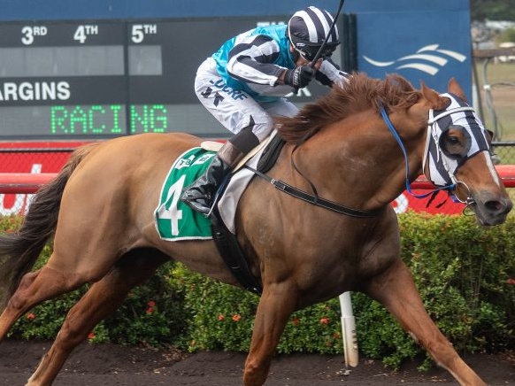 ‘Review’ into NT’s horse racing industry ordered amid mounting losses, decreased attendance