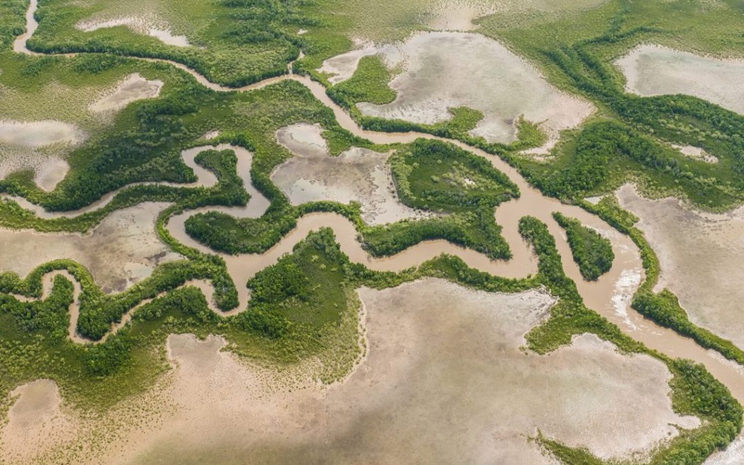 Public consultation for AROWS project’s environmental impact opens