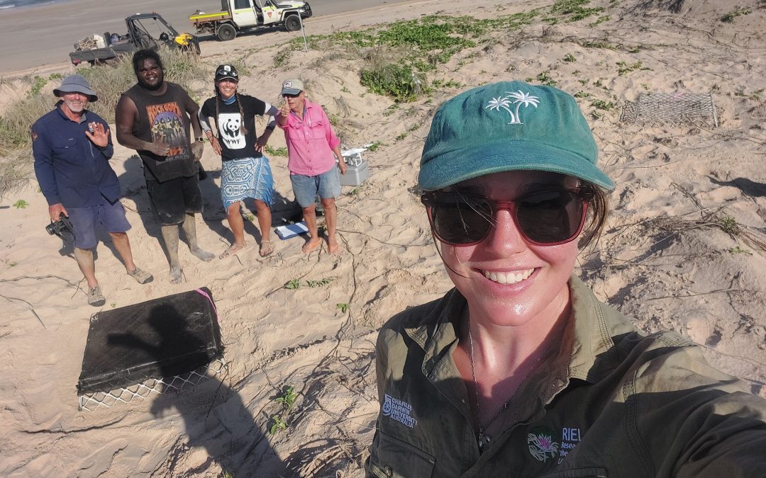 CDU and Indigenous rangers researching turtles, whales and dolphins in the NT