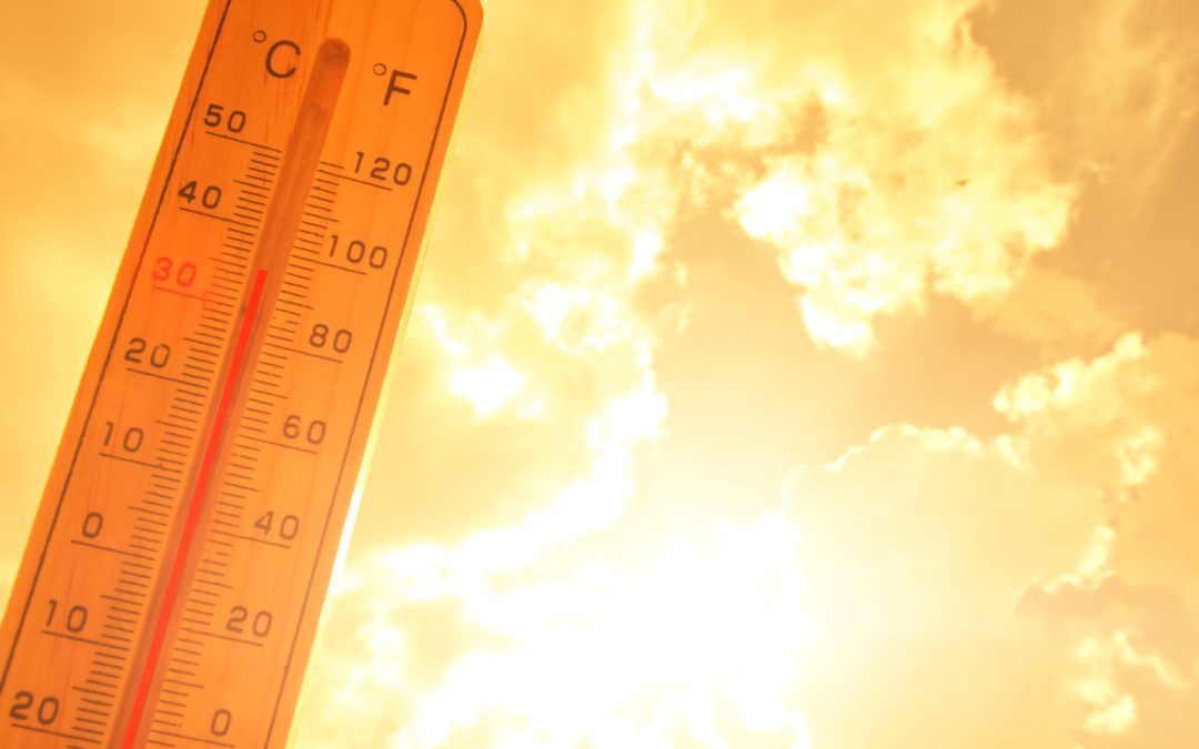 CSIRO’s new portal to help Darwin residents manage impact of rising temperatures