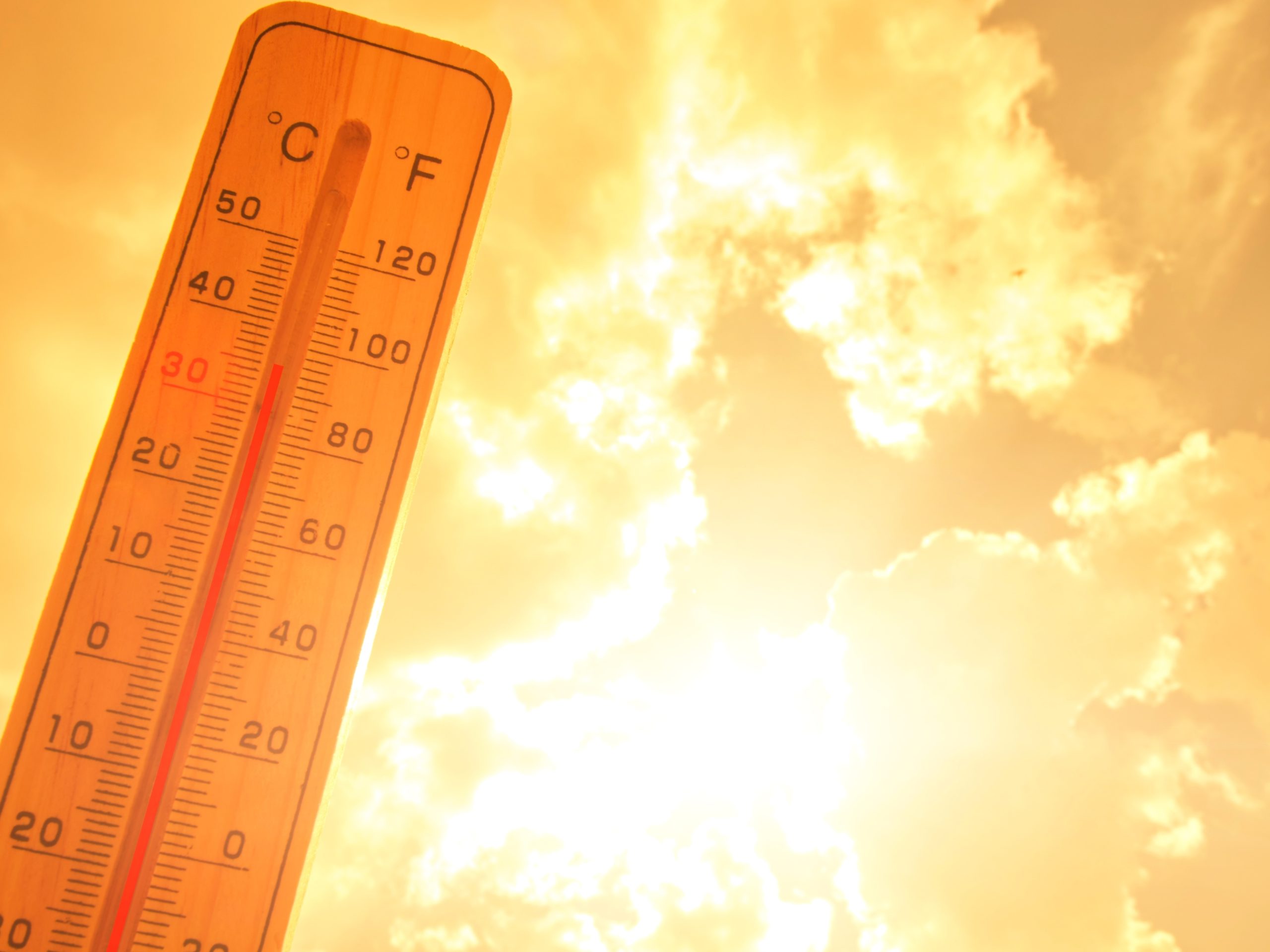 Heat stress Cropped