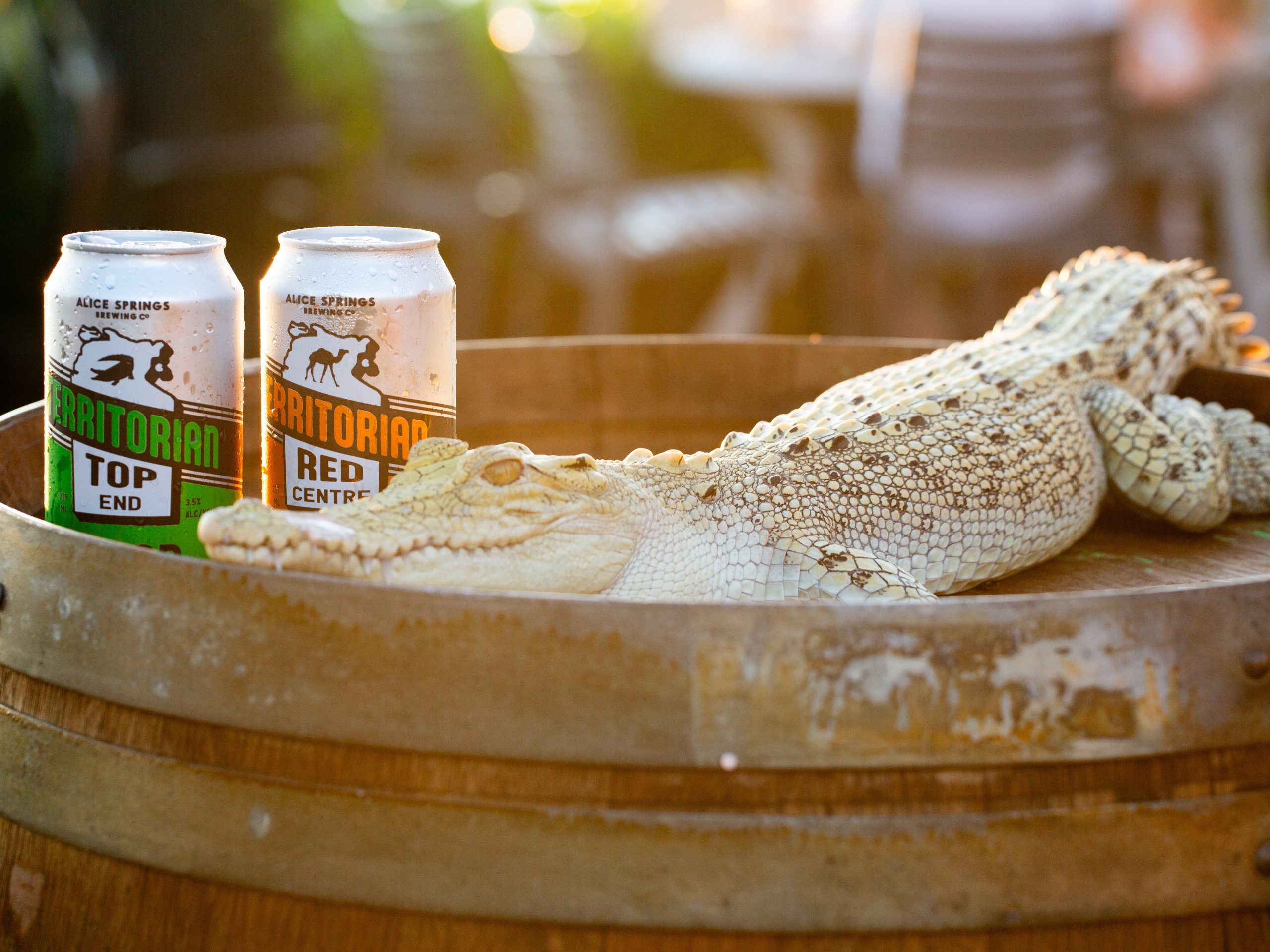DF25_Alice_Springs_Brewing_Co Cropped