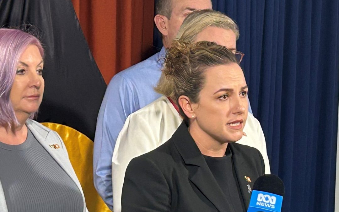 Chief Minister recalls Parliament to strengthen bail laws after Nightcliff stabbing death
