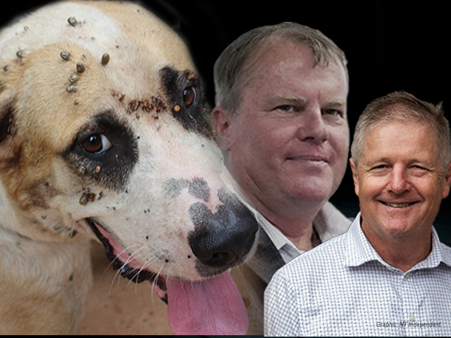 Knowles & Alister Trier 1