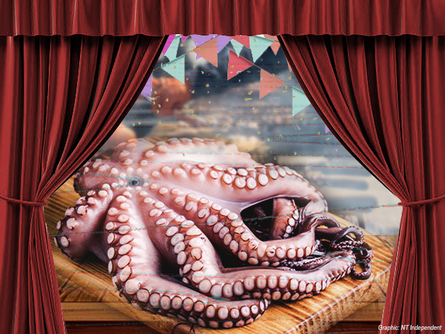 ‘There is something fishy going on’: Kalymnian Brotherhood responds to octopus destruction order