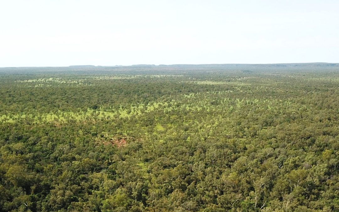 Increased NT land clearing needs federal oversight: Environment Centre