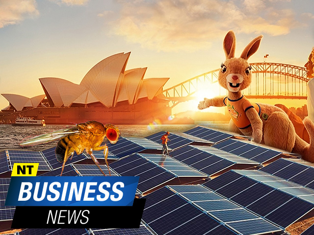 NT Business News – August 20