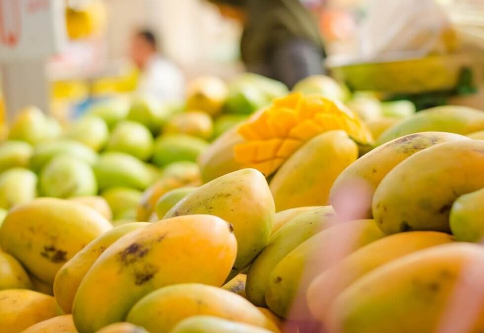 NT expected to produce 2.2m trays of mangoes