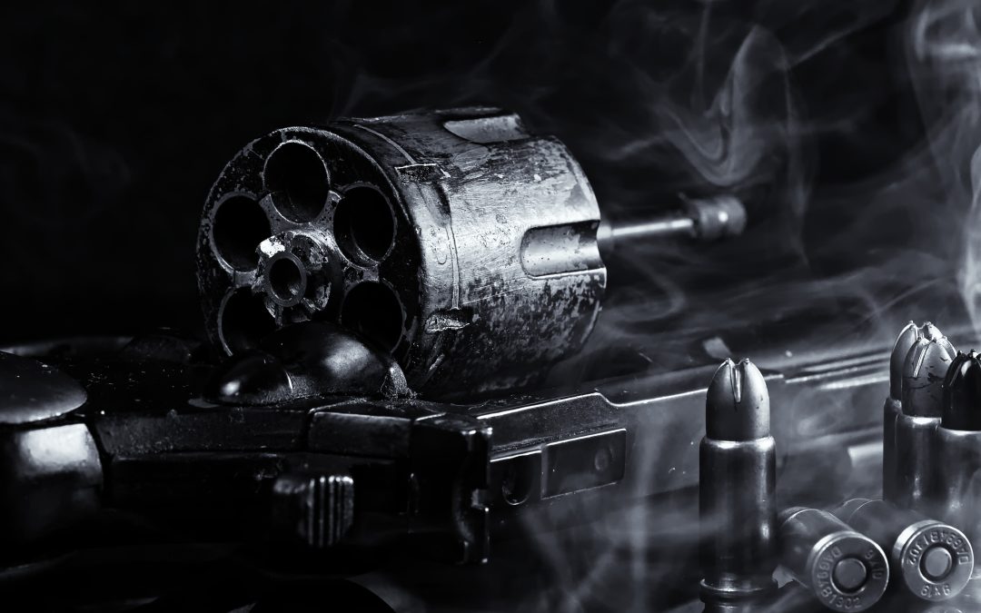 Old revolver discharged as police conducted firearms check at Kakadu gun dealership