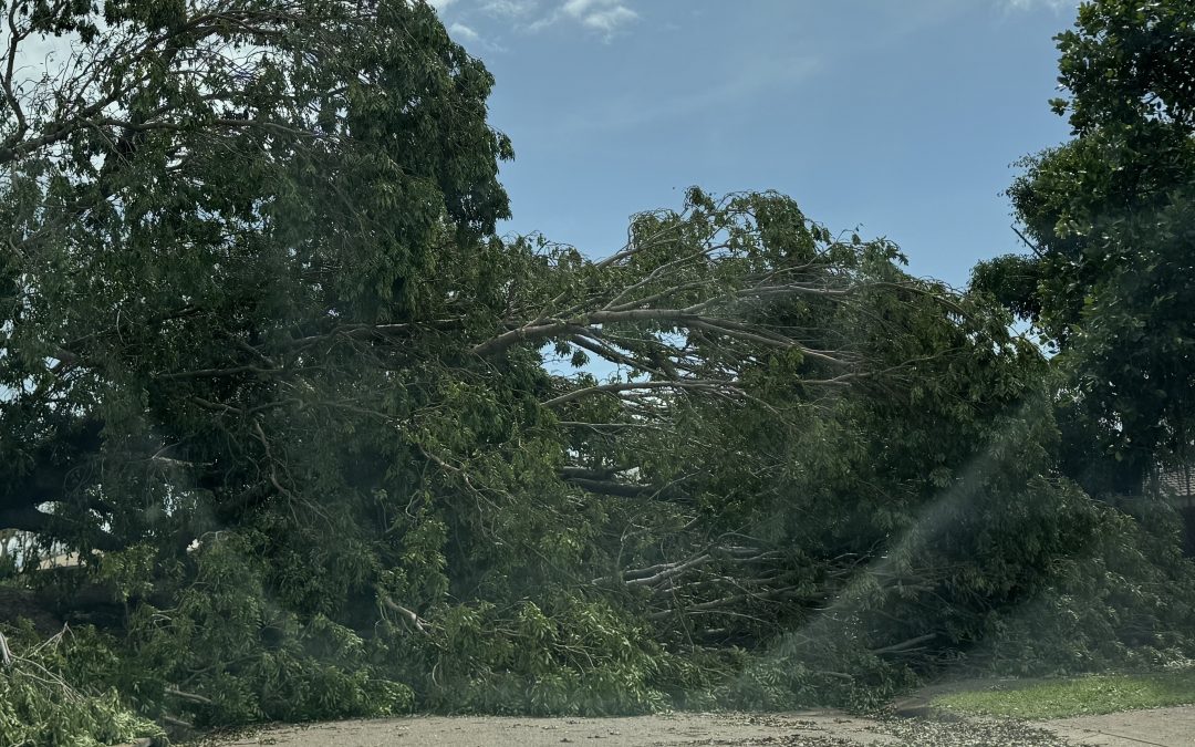 Thousands remain without power in wake of Cyclone Fina, including some schools