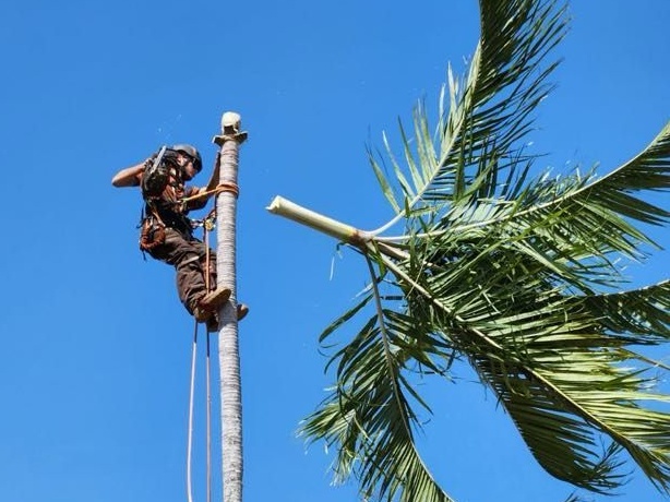 Tree removal company fined after smoking employees caused ‘fireball’ incident while refuelling vehicle