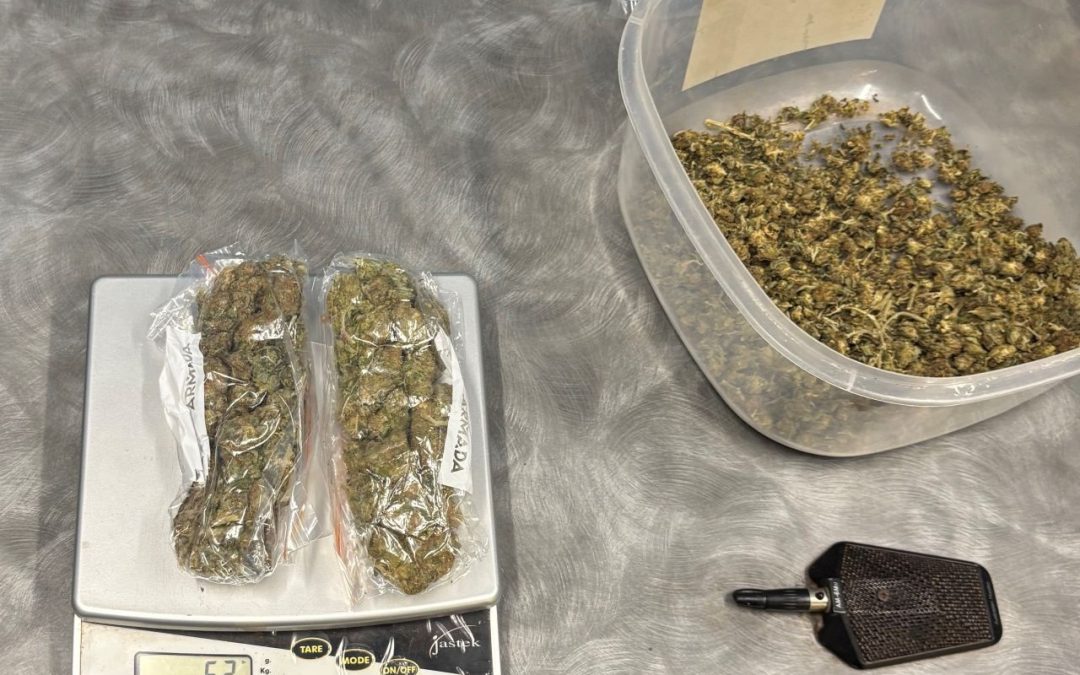 Police seize $140k worth of cannabis sent to remote community by boat