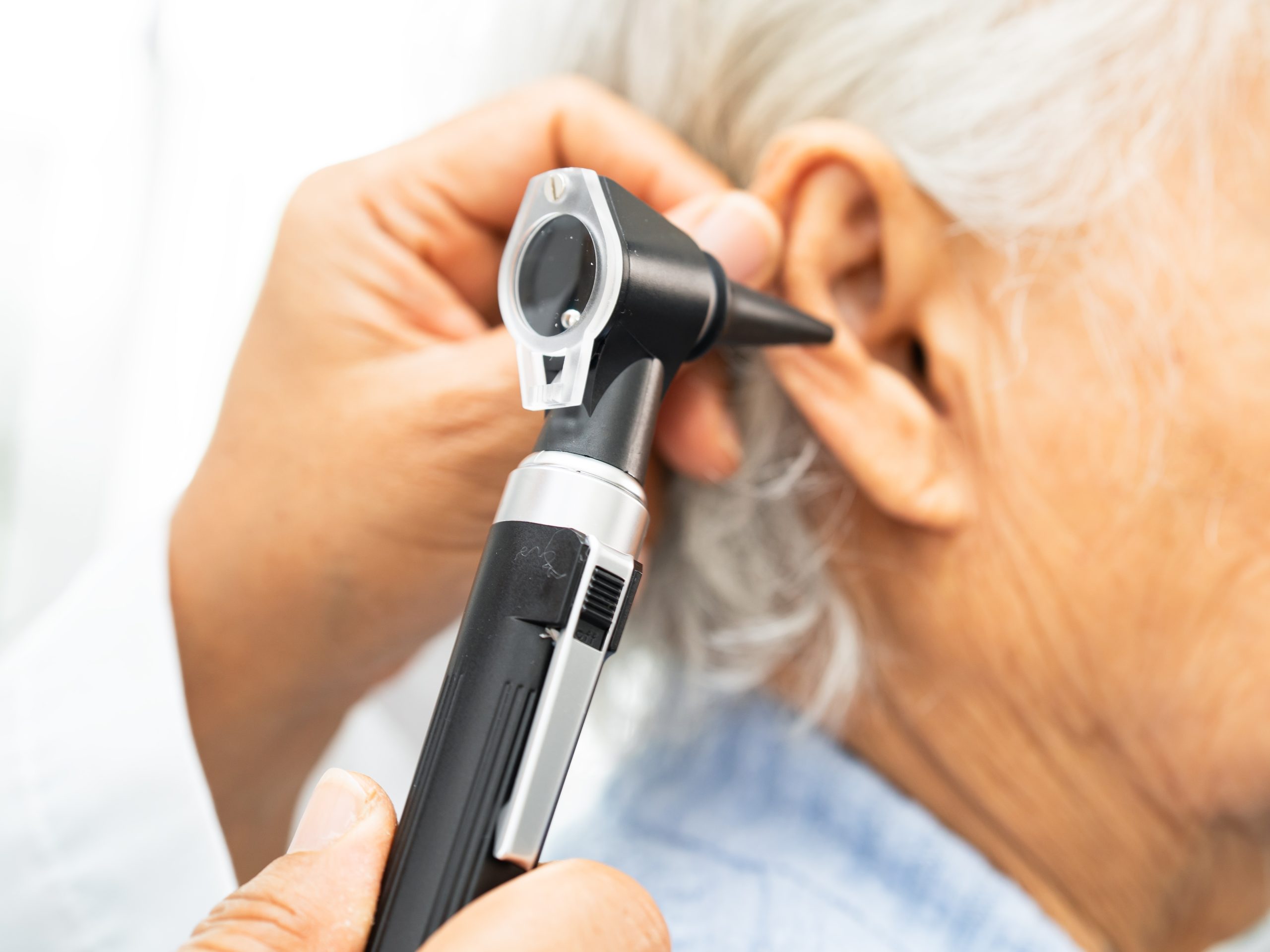 shutterstock_2667450325 Cropped